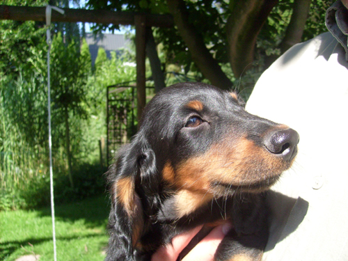 ....und ich heisse Artus und bin auch ganz lieb.....